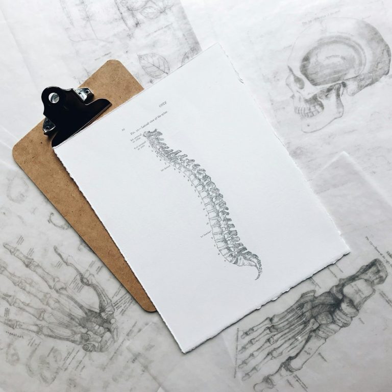 Illustration of a human spine on a clipboard, surrounded by anatomical sketches.